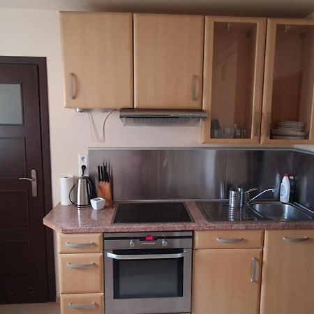 Apartament Czarny Potok Криниця-Здруй Екстер'єр фото